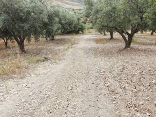 Terreno agricolo in vendita a marcellina via san polo dei cavalieri