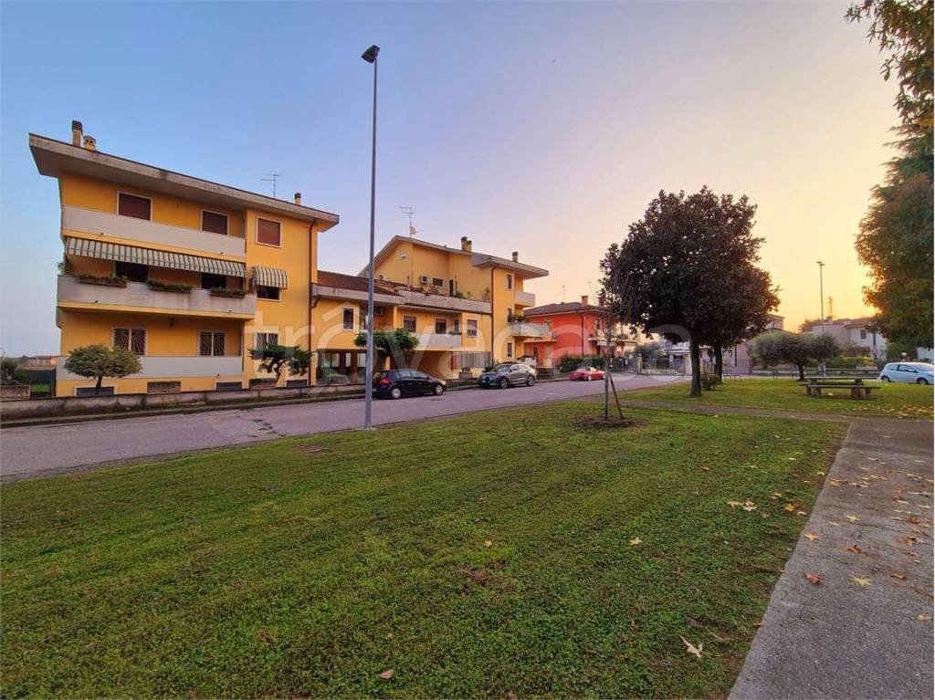 immagine annuncio 11 di 12
