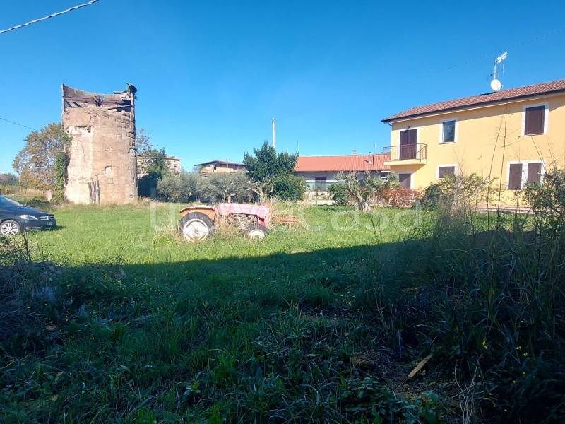 immagine annuncio 4 di 12