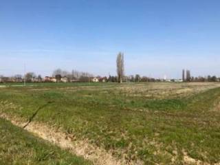 Terreno agricolo in vendita a pianiga via marcora