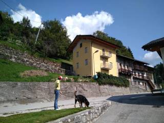 Casa indipendente in vendita a canal san bovo località berni