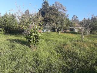 Terreno agricolo in vendita a livorno via delle gore , 73