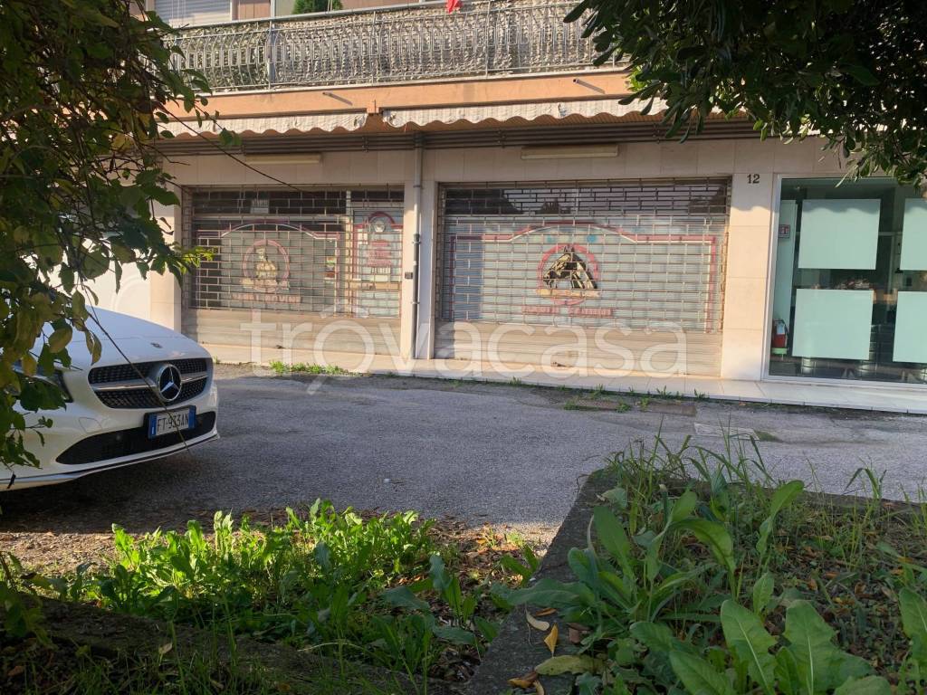 immagine annuncio 9 di 13