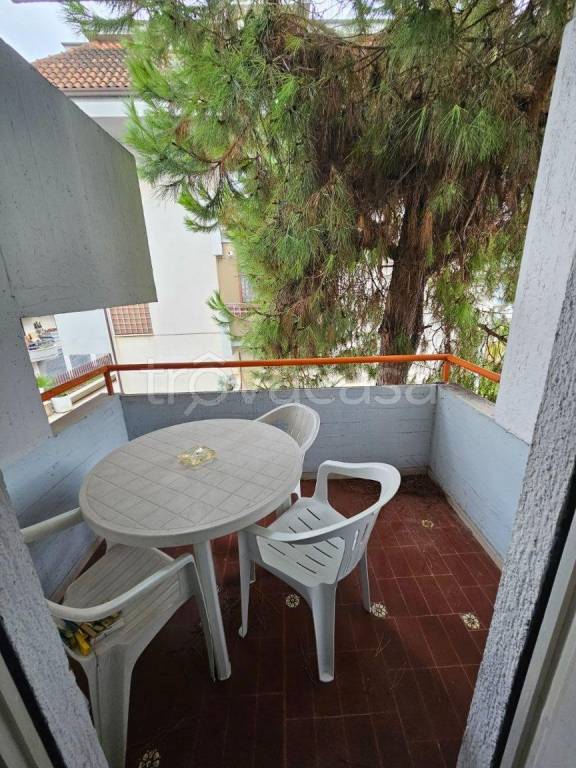 immagine annuncio 7 di 14