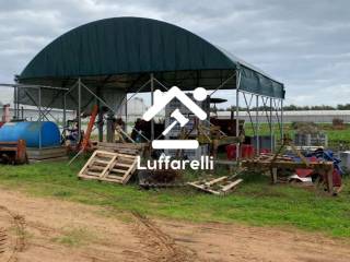 Terreno agricolo all'asta a san felice circeo via della molella, 108