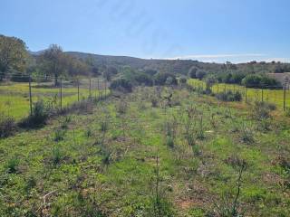 Terreno agricolo in vendita a quartucciu via delle more