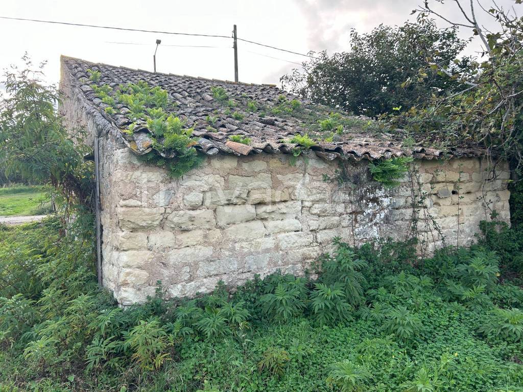 immagine annuncio 4 di 12