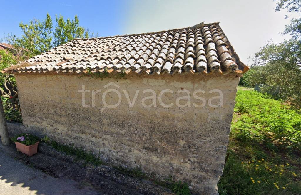 immagine annuncio 6 di 12