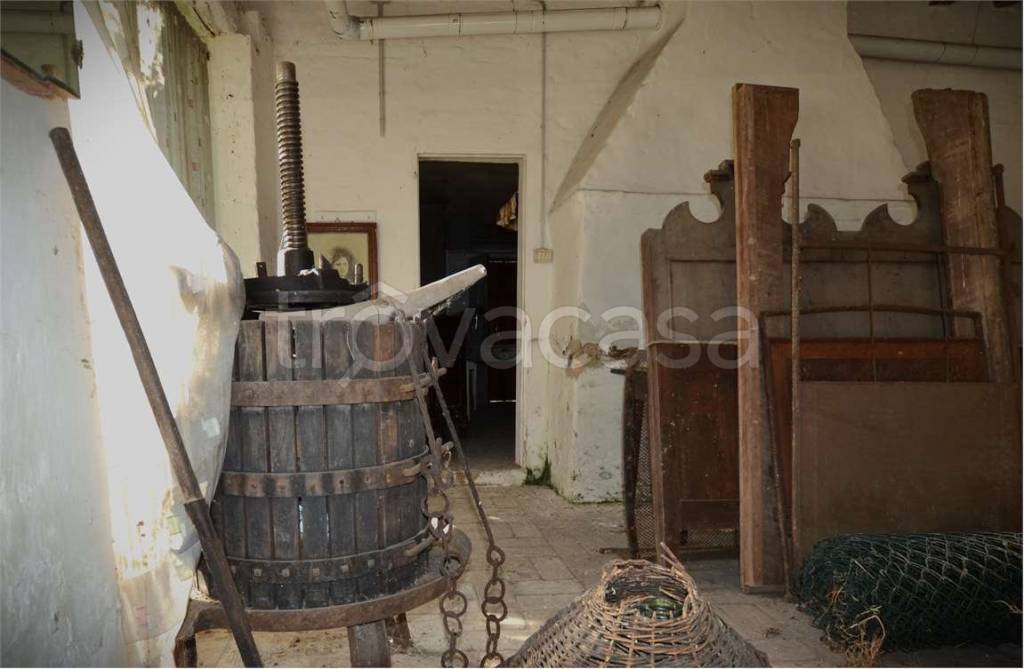 immagine annuncio 6 di 12