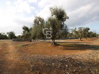 Terreno agricolo in vendita a san vito dei normanni contrada san giacomo