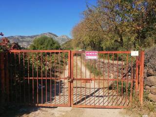 Terreno agricolo in vendita a orosei località san giovanni, 4