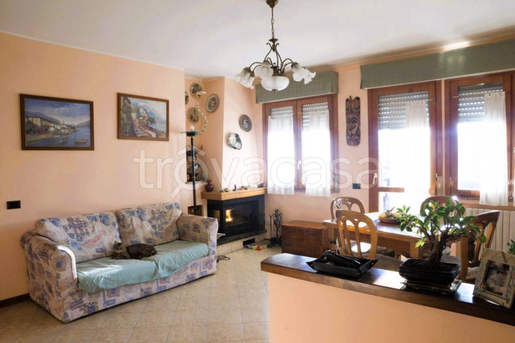 immagine annuncio 1 di 15