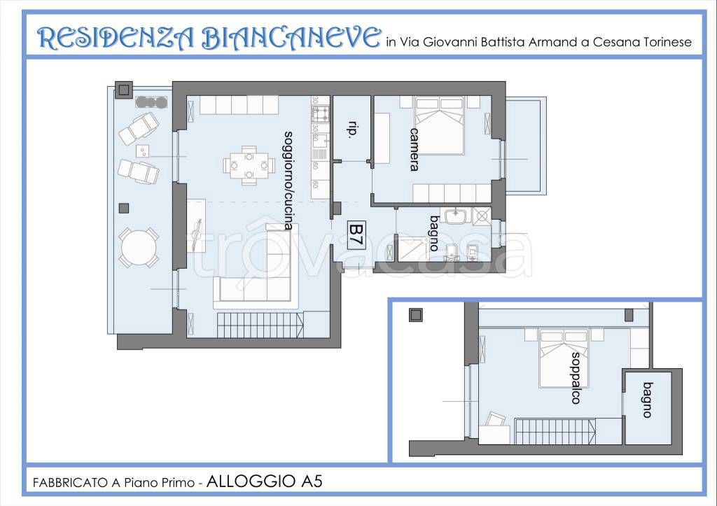 immagine annuncio 5 di 15