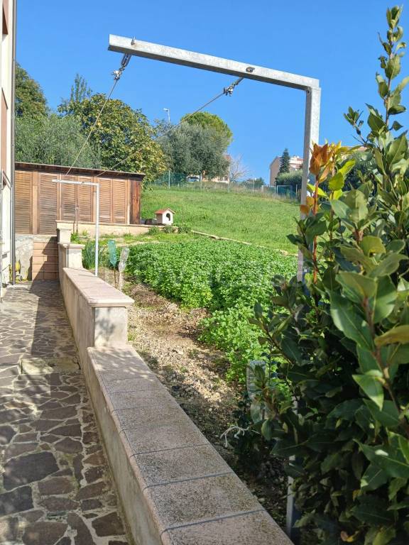 immagine annuncio 9 di 13