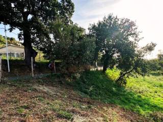 Terreno residenziale in vendita a bonifati via marinella 3