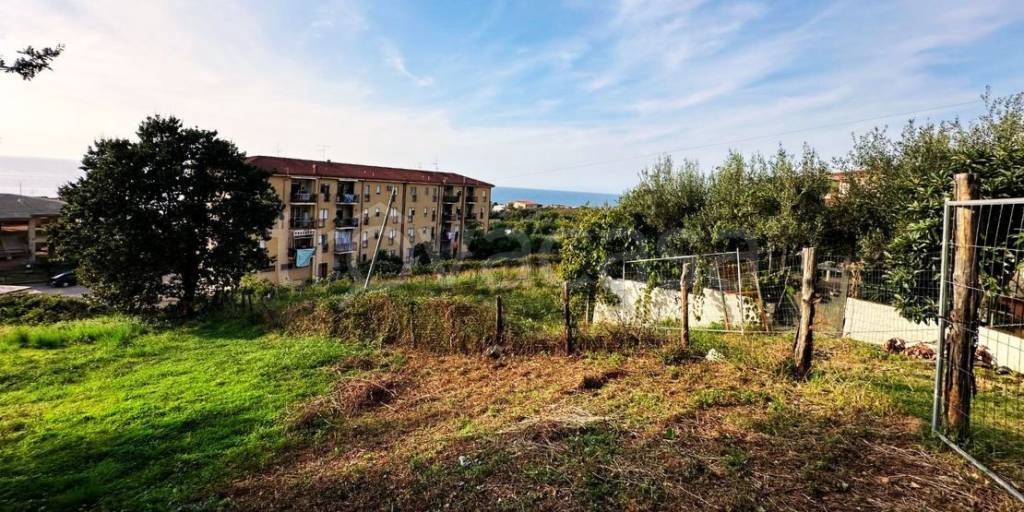 immagine annuncio 2 di 7