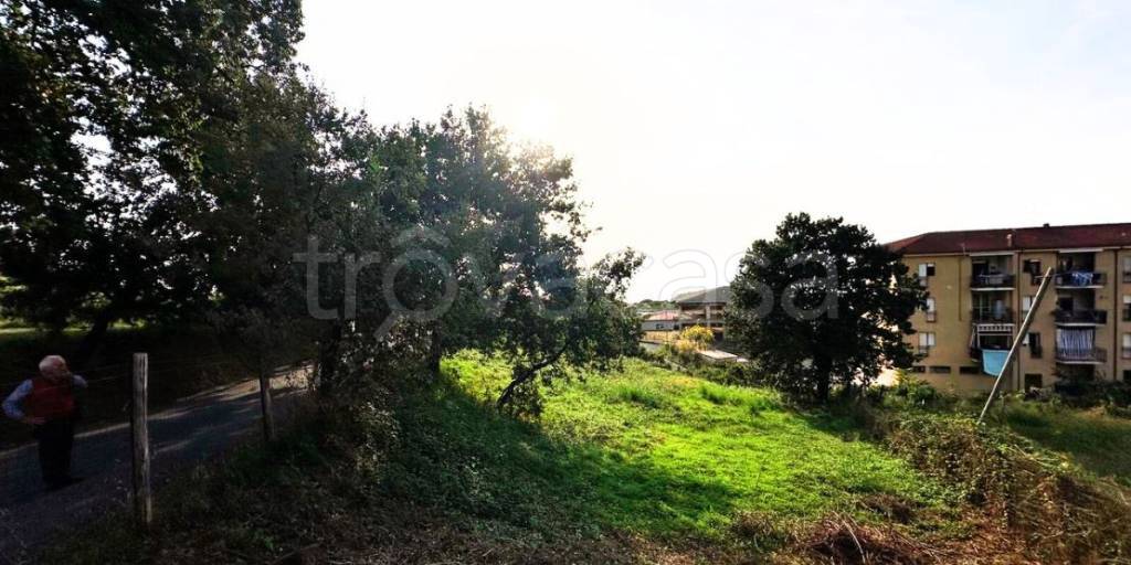 immagine annuncio 4 di 7