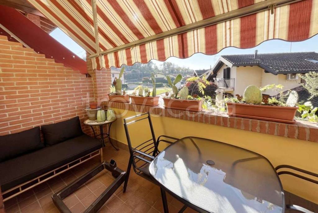 immagine annuncio 12 di 15