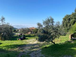 Terreno residenziale in vendita a lugnano in teverina vocabolo di vallelunga