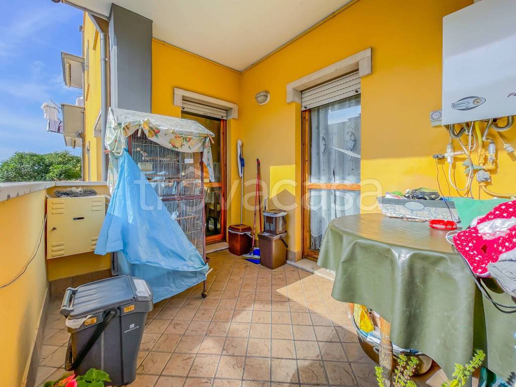 immagine annuncio 6 di 15