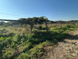 Terreno agricolo in vendita a latina strada campovivo