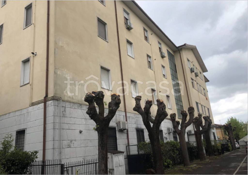 immagine annuncio 9 di 10