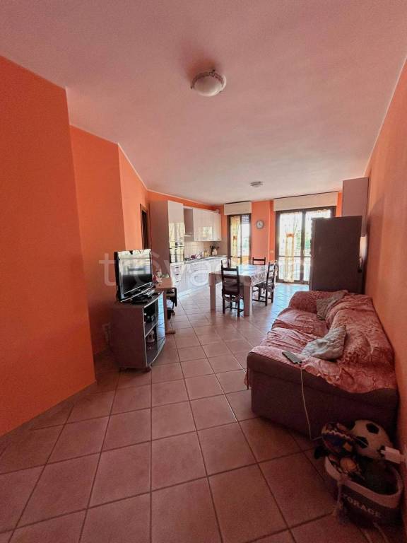 immagine annuncio 3 di 13