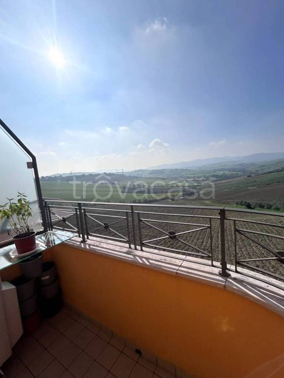 immagine annuncio 10 di 13