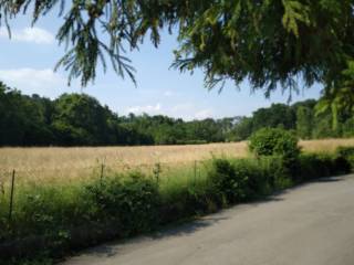 Terreno agricolo in vendita a brusaporto via cantalupa, 13