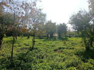 Terreno residenziale in vendita ad acireale viale dei platani