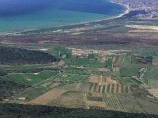 Terreno agricolo in vendita a scarlino 