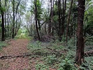 Terreno agricolo in vendita a villa cortese via pisa