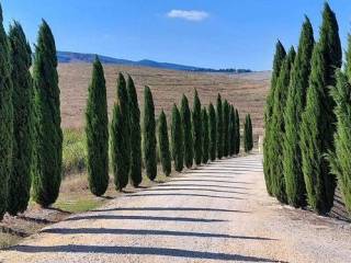 Appartamento in vendita a montecatini val di cecina viale del risorgimento