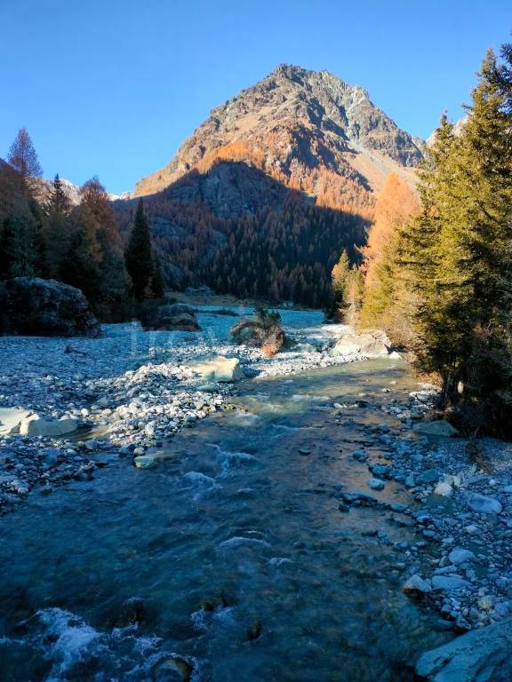 immagine annuncio 5 di 7