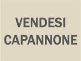 Capannone industriale in vendita a riccione 