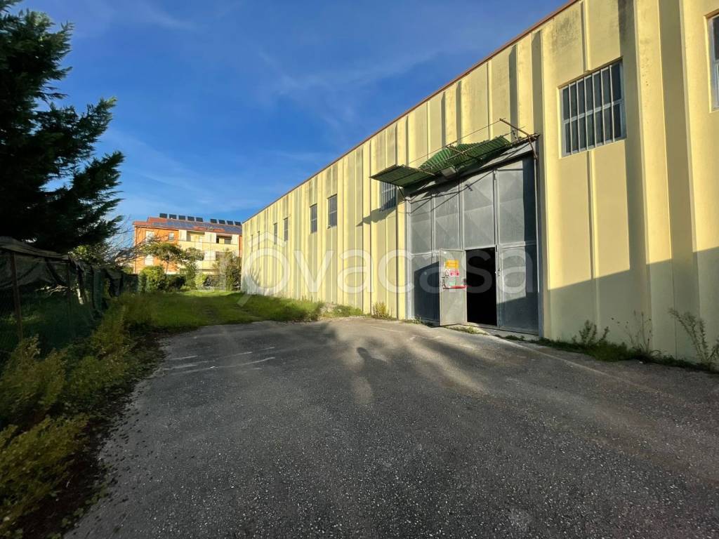 immagine annuncio 7 di 13