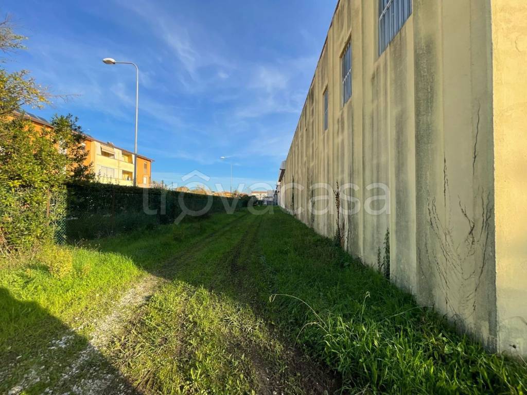immagine annuncio 8 di 13