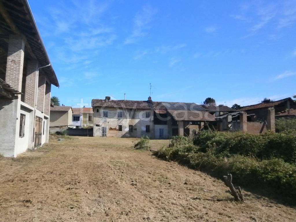 immagine annuncio 9 di 14