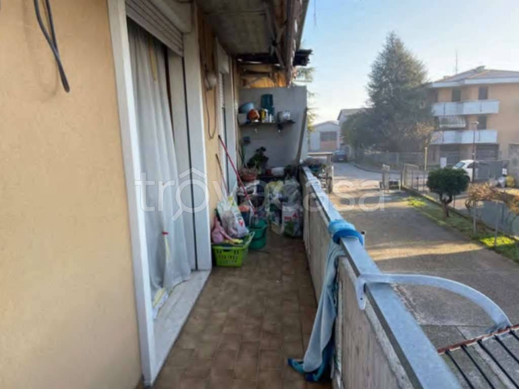 immagine annuncio 3 di 14