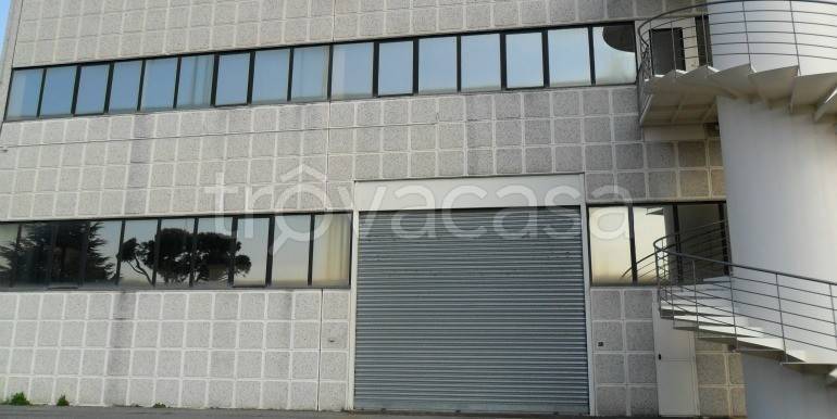 immagine annuncio 2 di 9