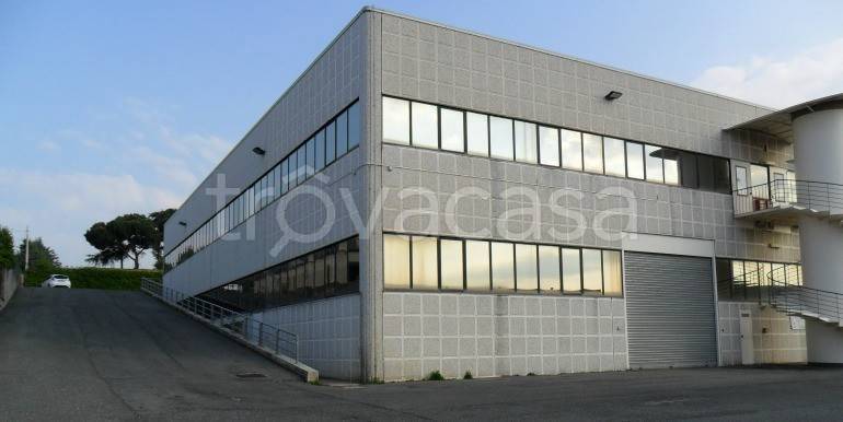 immagine annuncio 3 di 9