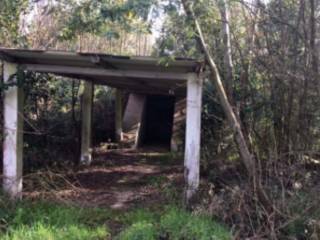 Azienda agricola all'asta a cisterna di latina via piano rosso