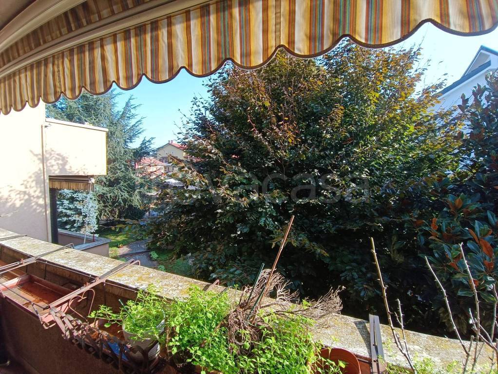 immagine annuncio 7 di 14