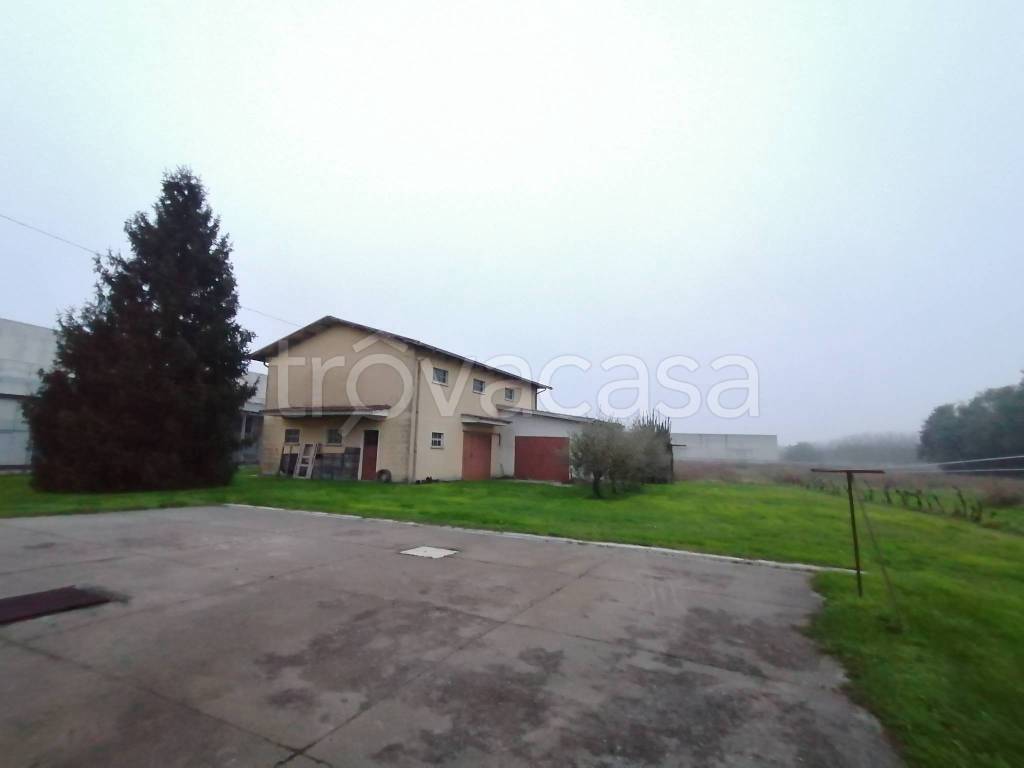 immagine annuncio 4 di 8