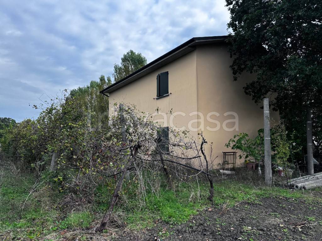 immagine annuncio 2 di 9