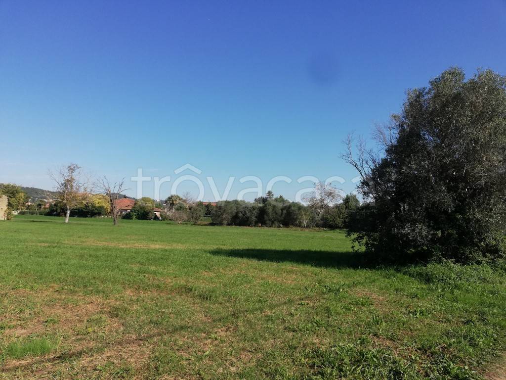 immagine annuncio 3 di 8