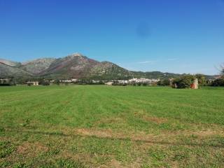 Terreno agricolo in vendita a piana di monte verna via pioppitelli