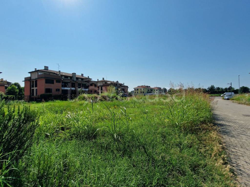 immagine annuncio 2 di 12