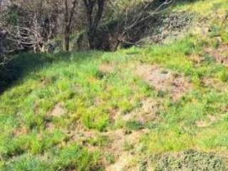 Terreno agricolo all'asta a mapello frazione volpera