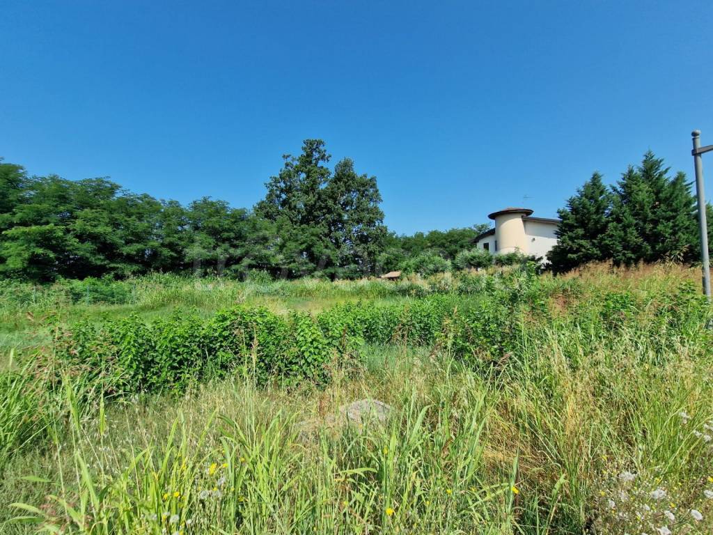 immagine annuncio 4 di 12